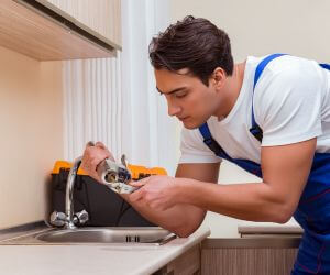 About Professional Plumbers